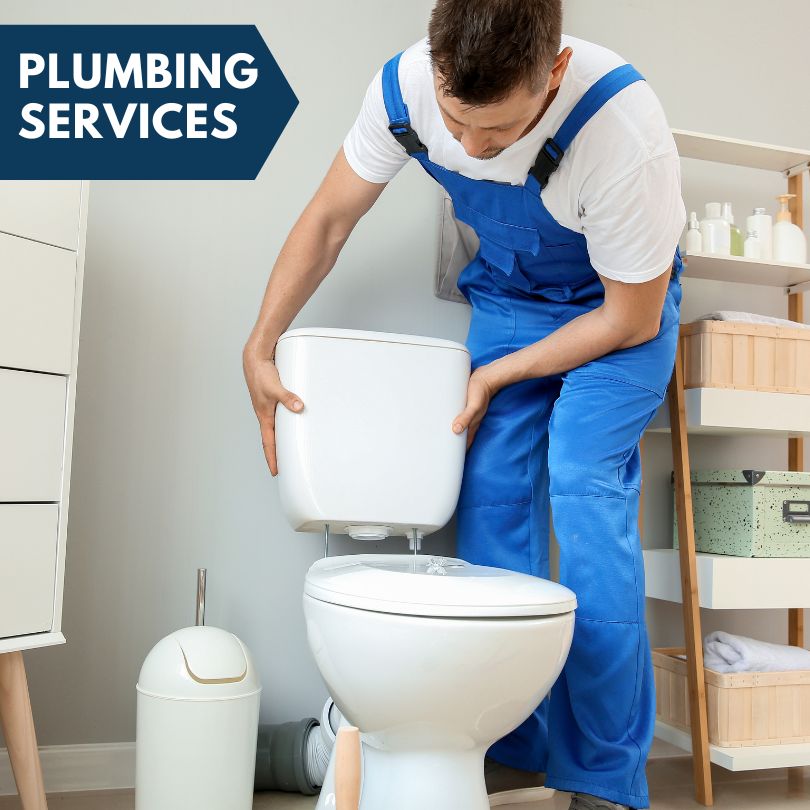 Plumbing Company in Westville, IL